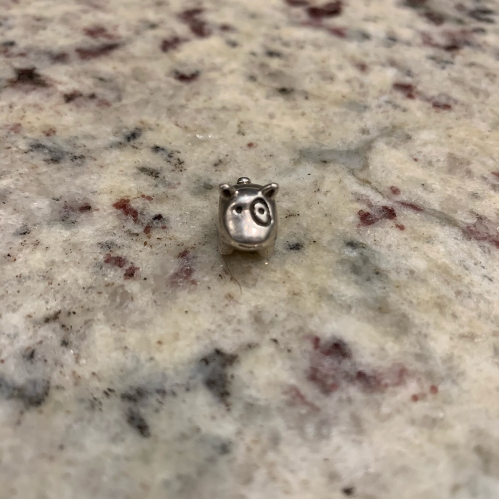 Pandora Bracelet Charms